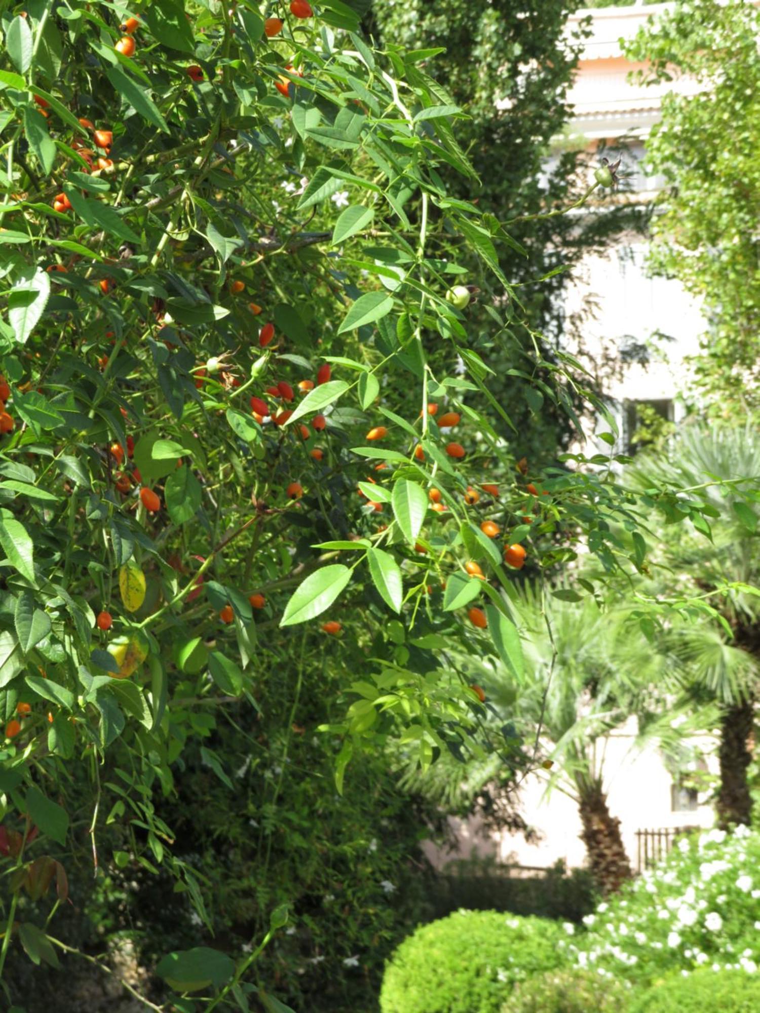 Clori Gaeta Ξενοδοχείο Εξωτερικό φωτογραφία